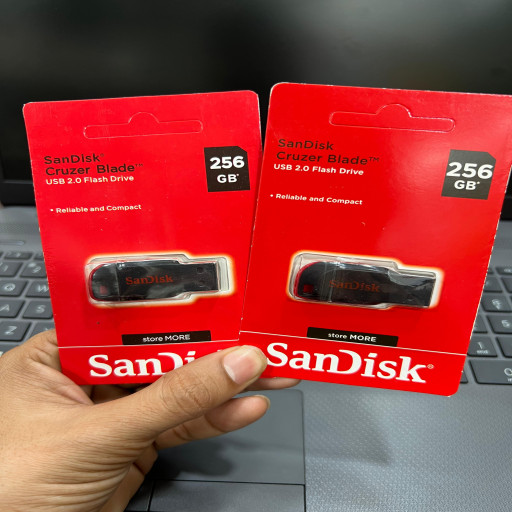 256 GB Pandrive Sendisk